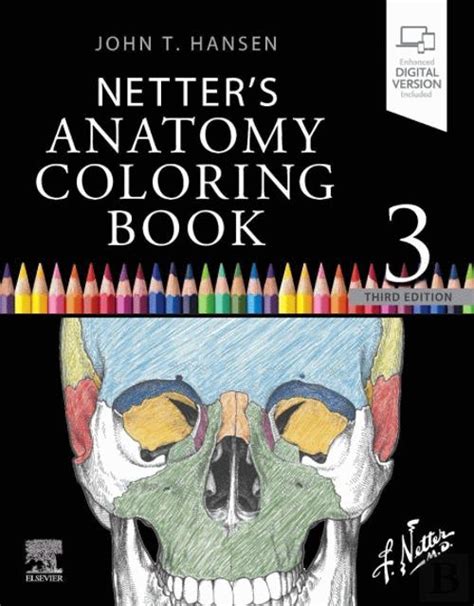Read Online Netters Anatomy Coloring Book Updated Edition By John T Hansen