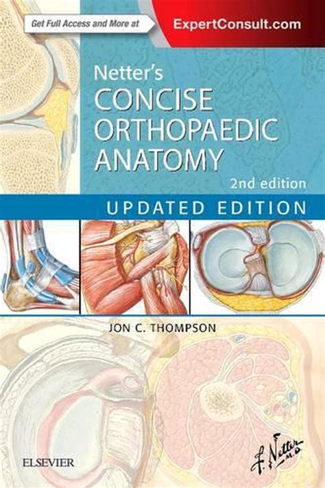 Download Netters Concise Orthopaedic Anatomy Updated Edition By Jon C Thompson