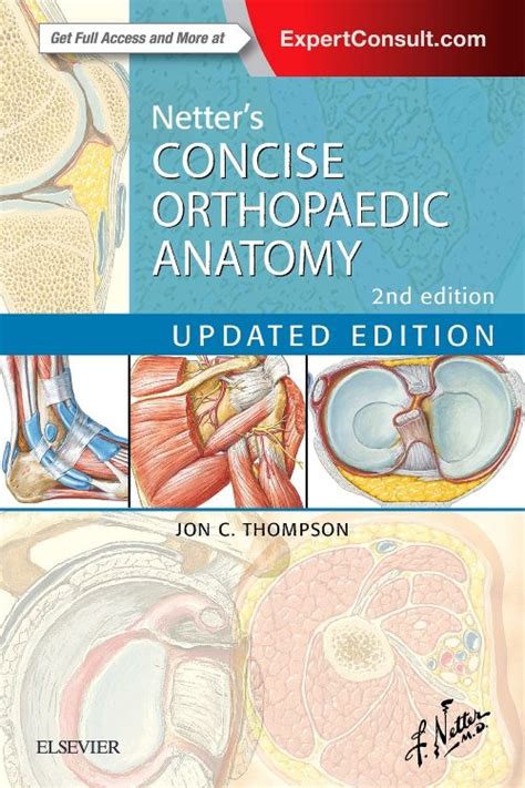 Download Netters Concise Orthopaedic Anatomy Updated Edition By Jon C Thompson