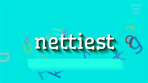 Nettiest Definition & Meaning - Merriam-Webster