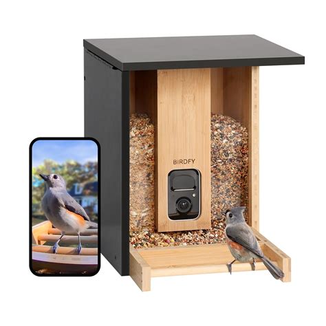 Netvue Birdfy - the AI recognition bird feeder with camera