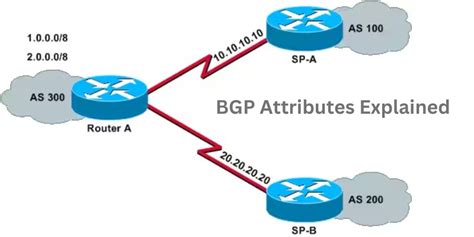 Networking And Scripting BGP Attributes