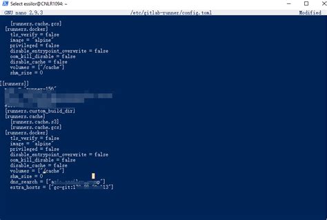 Networking Issue: Cannot Resolve GitLab Host