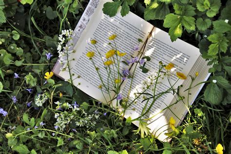 Neue Lieblingsbücher für den Frühling in Buchholz, Buchhandlung Heymann …