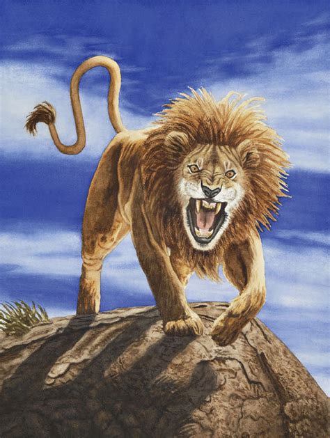 At its most basic level, the Chimera is a female lion. It has a lion’s body, complete from head to tail. Exaggerated ears and breasts show that the creature is female, even though it does have a short, ragged mane. But of course, there’s more to the Chimera than its lion features. The creature also has a goat’s head, rising from between .... 