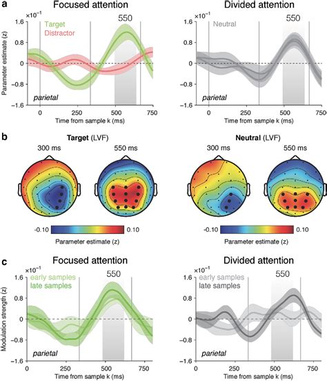 Neural Mechanisms of Human Perceptual Choice Under Focused …