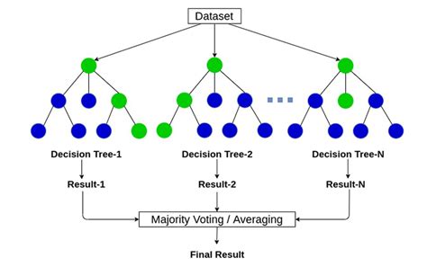 Neural Network and Random Forest Models in Protein Function …