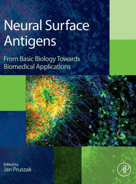Neural Surface Antigens From Basic Biology Towards Biomedical Applications