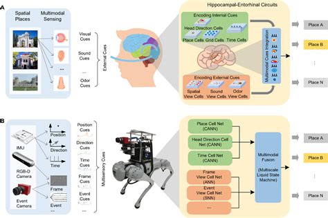 Neural Systems for Robotics