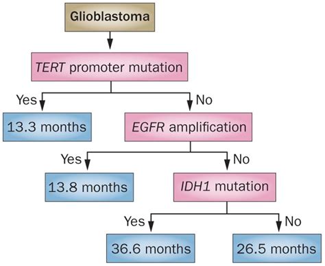 Neuro-oncology: TERT promoter mutations could indicate poor