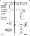 Neuroanatomy, Spinothalamic Tract - StatPearls - NCBI …