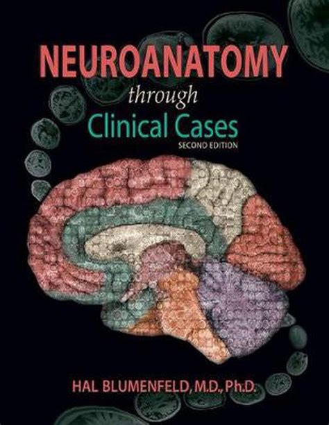 Download Neuroanatomy Through Clinical Cases By Hal Blumenfeld