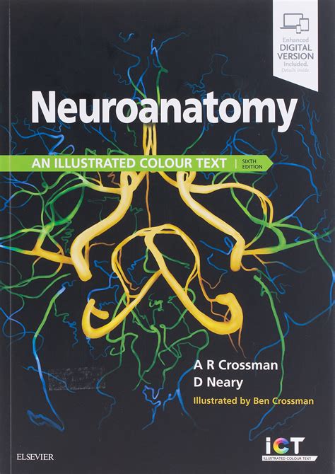 Download Neuroanatomy By Alan R Crossman