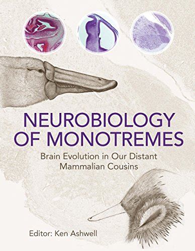 Neurobiology of Monotremes Brain Evolution in Our Distant Mammalian Cousins