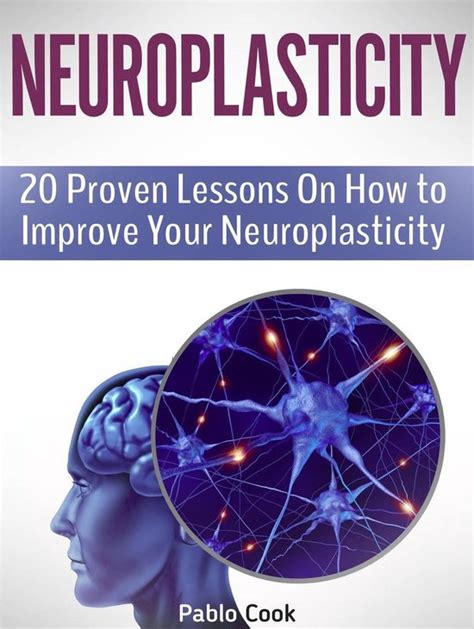 Neuroplasticity 20 Proven Lessons On How to Improve Your Neuroplasticity