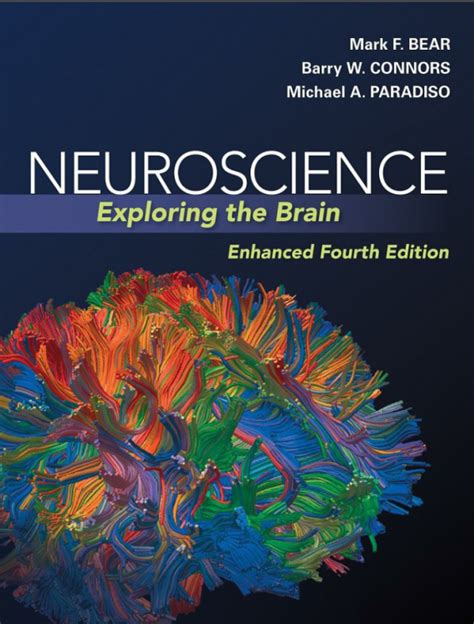 Neuroscience exploring the brain study guide version. - Inspector de vírgenes y otras pérdidas.