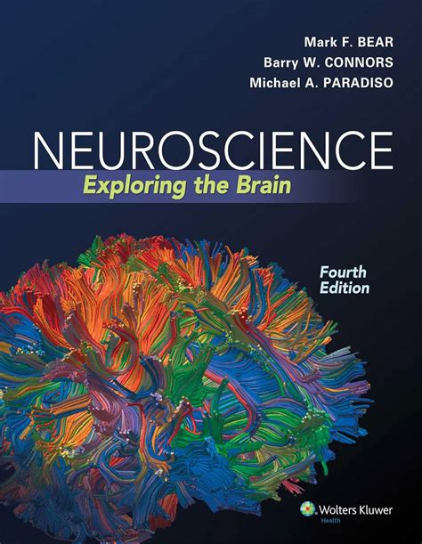 Full Download Neuroscience Exploring The Brain By Mark F Bear