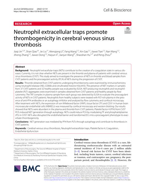 Neutrophil extracellular traps promote thrombogenicity in cerebral ...