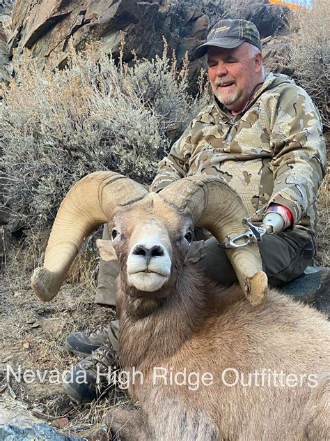 Nevada Bighorn Sheep Hunts - Nevada High Ridge Outfitters