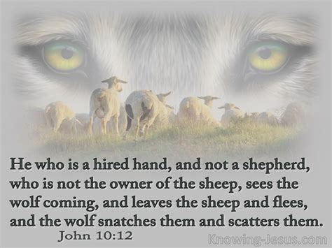 Never Mind the Wolves The Shepherd has all the answers
