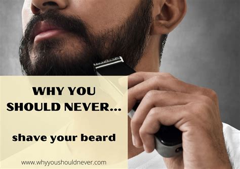 Never shave your beard - i.imgur.com