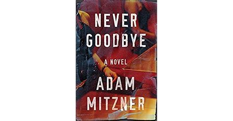 Full Download Never Goodbye Broden Legal 2 By Adam Mitzner
