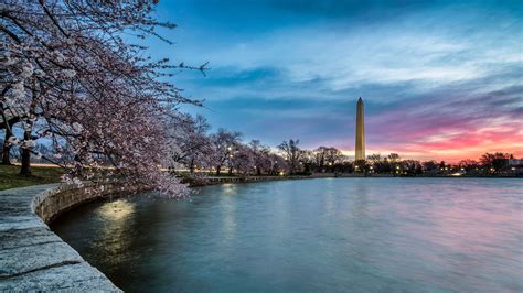 New Attractions in Washington D C 
