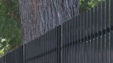 New Austin fencing ordinance aiming to protect children, wildlife going into effect soon