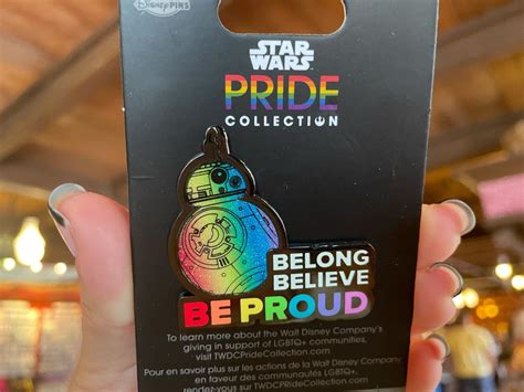 New BB-8 and Pixar Pride, Moana Designer Collection Pins at …