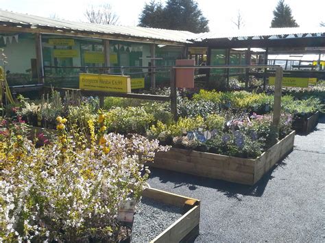 New Coley Nurseries Manywells Brow, Cullingworth, Bradford, …