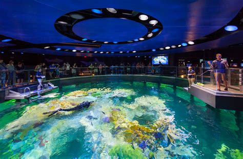 New England Aquarium marks World Ocean Day with weekend event, shows public how to make environmental difference on a local level