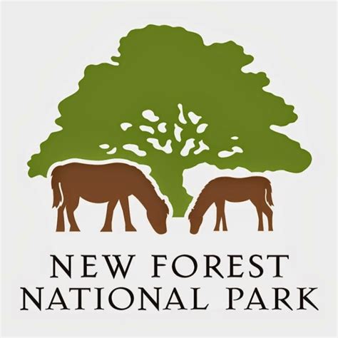 New Forest Arts - New Forest National Park Authority