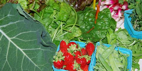 New Jersey Organic & Sustainable Farms Directory - Farmer