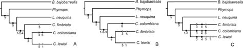 New Material of Chelus colombiana (Testudines; …