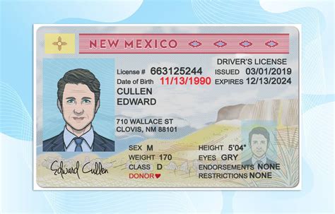New Mexico Drivers License Template (New Edition) PSD File