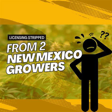 New Mexico regulators revoke the licenses of 2 marijuana grow operations and levies $2M in fines