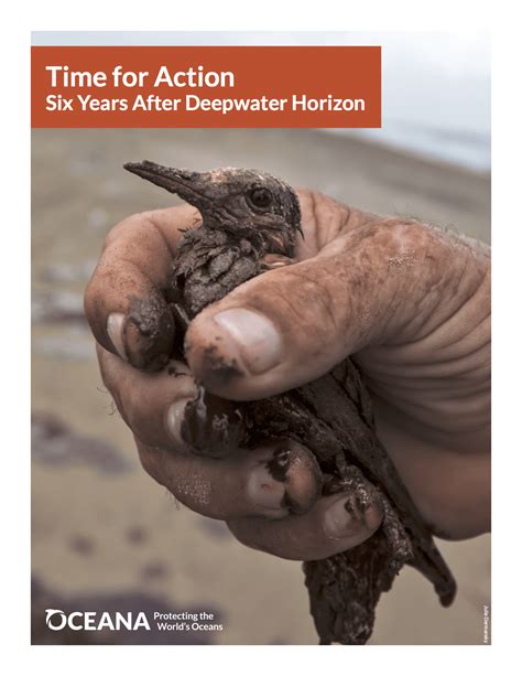 New Oceana Report Highlights Long-Term Impacts of Deepwater Horizon Oil …