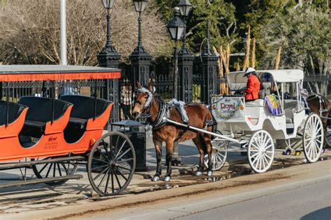 New Orleans: Guided City Sightseeing Tour by Bus GetYourGuide