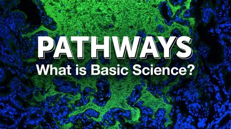 New Pathways In Science