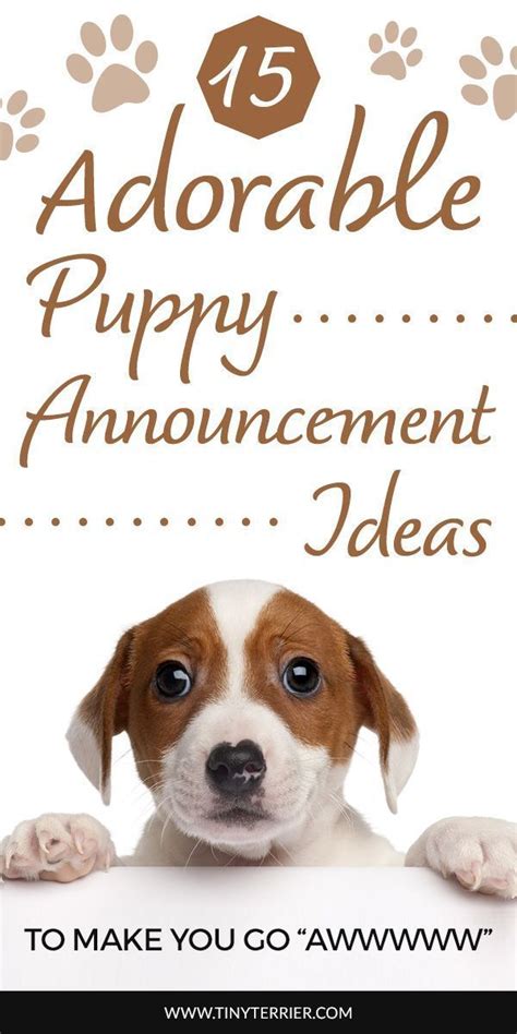New Puppy Announcement Template