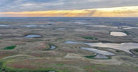 New RCPP focuses on Prairie Pothole Region