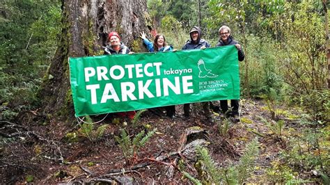 New Short Film Reveals Myth of ‘Sustainable Logging’ in Tarkine