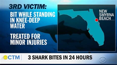 New Smyrna Shark Attacks 2013