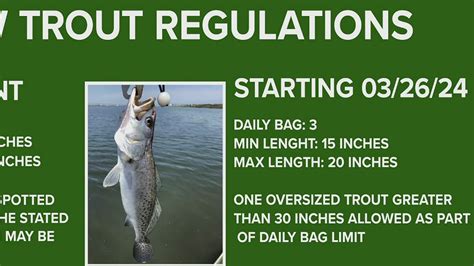New Trout Size Rule & Steelhead Access in PA! 2026 Fishing Updates (2026)