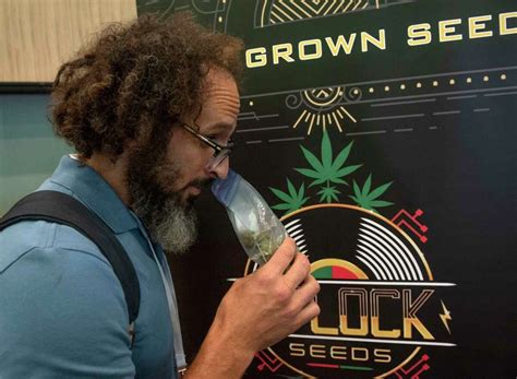 New York Cannabis Convention in Albany announced