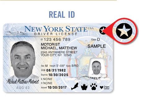 New York DMV Get an Enhanced or REAL ID - Federal REAL ID