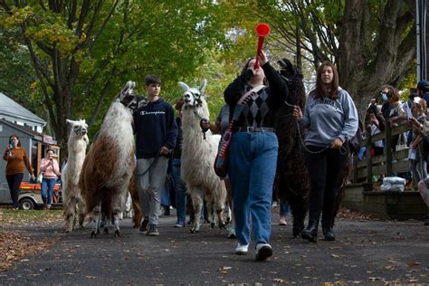 New York State Sheep and Wool Festival returns to Rhinebeck