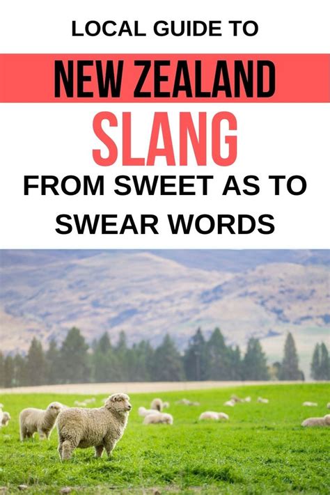 New Zealand Slang: From Sweet As to Swear Words