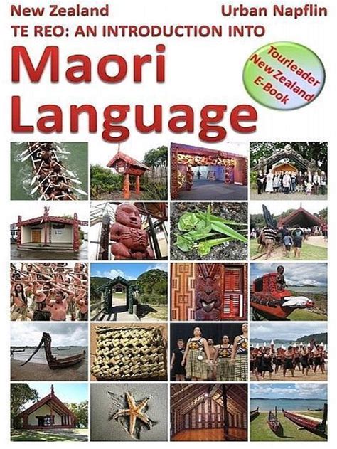 New Zealand Te Reo an introduction into Maori language