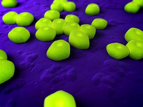 New antibiotic uses novel method to target deadly drug-resistant bacteria, study says